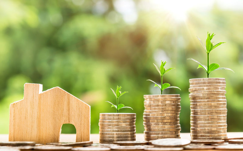 geld-sparen-steuern-zahlen